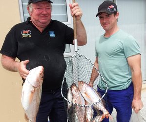 Koeël is deur die vis